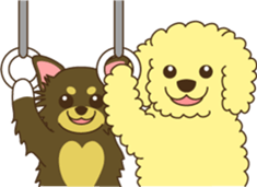 Poodle & Chihuahua sticker #2926998