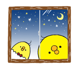 Dolliy&Chappy (English.ver) sticker #2928359