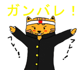 chatora-san sticker #2929162