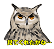 Owl & Birds Sticker sticker #2931923