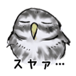 Owl & Birds Sticker sticker #2931924