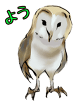 Owl & Birds Sticker sticker #2931925