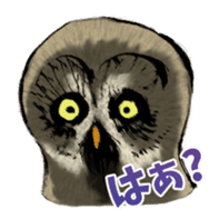 Owl & Birds Sticker sticker #2931926