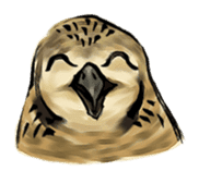 Owl & Birds Sticker sticker #2931927