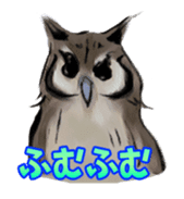 Owl & Birds Sticker sticker #2931930