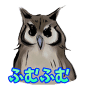 Owl & Birds Sticker sticker #2931930
