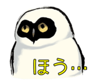Owl & Birds Sticker sticker #2931931