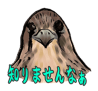 Owl & Birds Sticker sticker #2931934