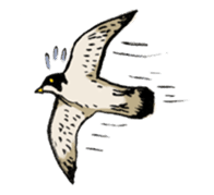 Owl & Birds Sticker sticker #2931935
