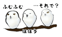 Owl & Birds Sticker sticker #2931941