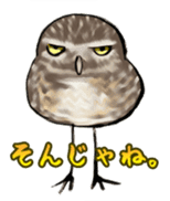 Owl & Birds Sticker sticker #2931944
