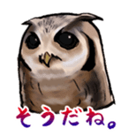 Owl & Birds Sticker sticker #2931948