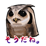 Owl & Birds Sticker sticker #2931948