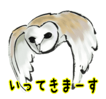 Owl & Birds Sticker sticker #2931949