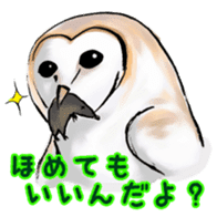 Owl & Birds Sticker sticker #2931950