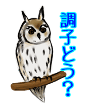 Owl & Birds Sticker sticker #2931951