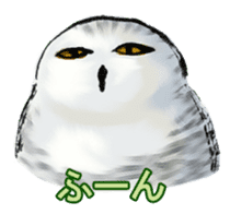 Owl & Birds Sticker sticker #2931956