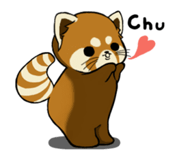 ChaTaro of red pandas vol.2 sticker #2932529