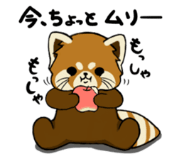 ChaTaro of red pandas vol.2 sticker #2932560