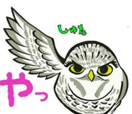 fukurou-san sticker #2933489