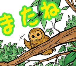 fukurou-san sticker #2933511