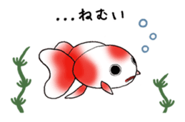 Cute goldfish's life sticker #2933763