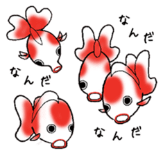 Cute goldfish's life sticker #2933776