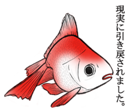 Cute goldfish's life sticker #2933802