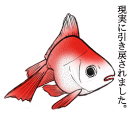 Cute goldfish's life sticker #2933802
