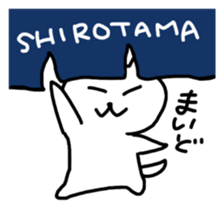 Hot cat.shirotama2 sticker #2934635
