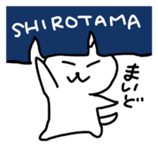 Hot cat.shirotama2 sticker #2934635