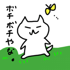 Hot cat.shirotama2 sticker #2934640