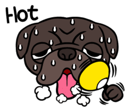 Holiday of Black pug bibi sticker #2935755