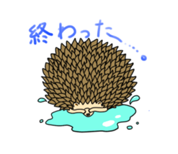 A Little Hedgehog "Harry-kun" sticker #2937331