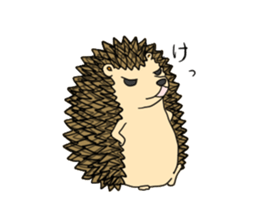 A Little Hedgehog "Harry-kun" sticker #2937335