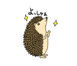 A Little Hedgehog "Harry-kun" sticker #2937349