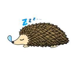 A Little Hedgehog "Harry-kun" sticker #2937350