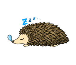 A Little Hedgehog "Harry-kun" sticker #2937350