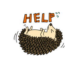 A Little Hedgehog "Harry-kun" sticker #2937352
