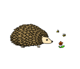 A Little Hedgehog "Harry-kun" sticker #2937353