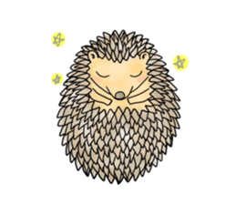 A Little Hedgehog "Harry-kun" sticker #2937362