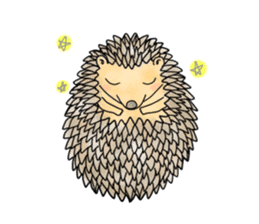 A Little Hedgehog "Harry-kun" sticker #2937362