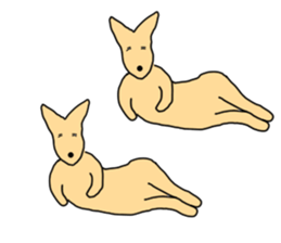 Feel so lazy kangaroo sticker #2937460