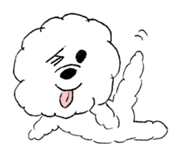 Bichon Frise pero sticker #2937530