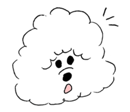 Bichon Frise pero sticker #2937533