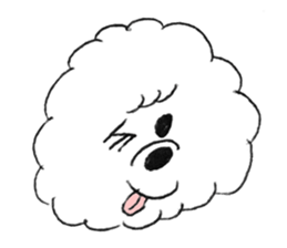 Bichon Frise pero sticker #2937534