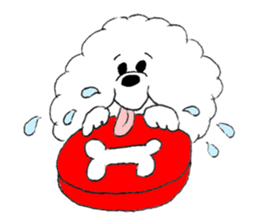 Bichon Frise pero sticker #2937544