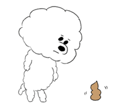 Bichon Frise pero sticker #2937545