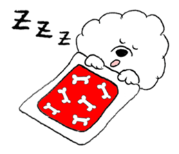Bichon Frise pero sticker #2937546