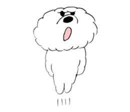 Bichon Frise pero sticker #2937551